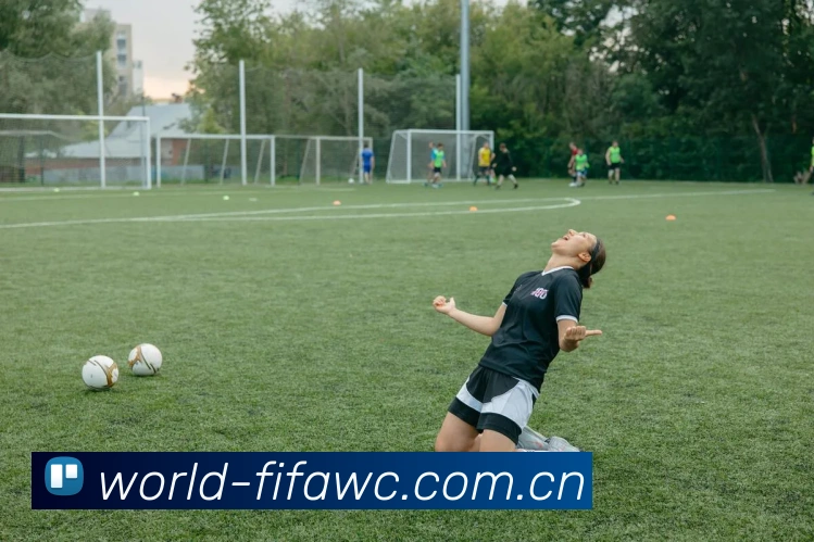 FIFA官方数据授权证书